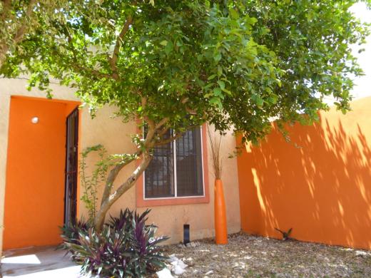 En Merida Yucatan Renta de casas y departamentos amueblados - 6