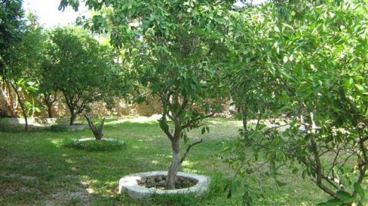 En Merida Renta de casa amueblada de 3 recamaras con piscina - 16