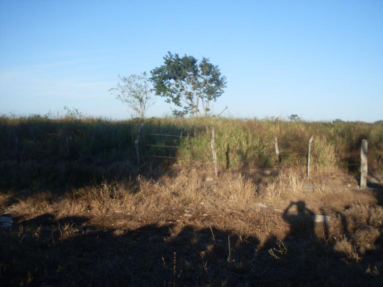 usocomun - 7