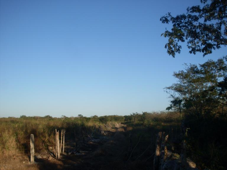 usocomun - 8