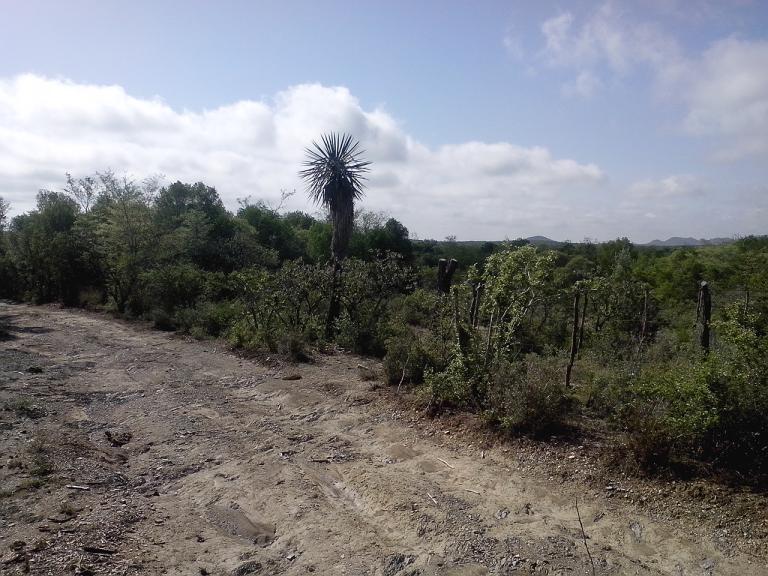 Terreno cerca de presa a solo 100,000 - 2