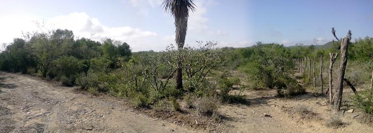 Terreno cerca de presa a solo 100,000 - 3