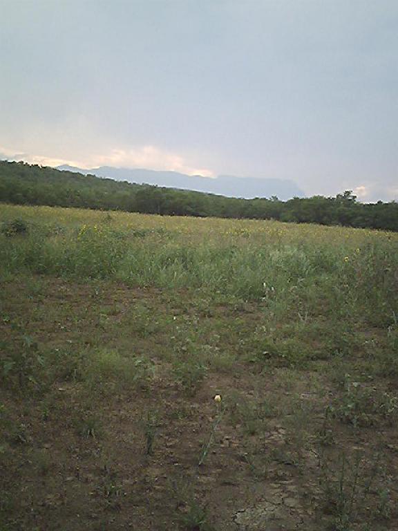 Terreno de 11.47 has. con riego y área para la siembra - 2