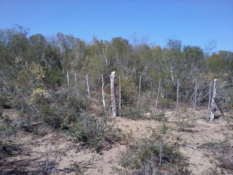 Bonito terreno campestre de 80 x 40 m2 - 2