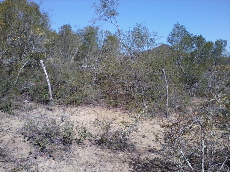 Bonito terreno campestre de 80 x 40 m2 - 3