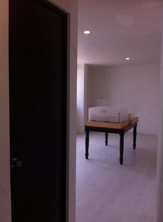 HERMOSOS DEPARTAMENTOS SEMIRESIDENCIALES EN SAN PEDRO MARTIR — foto 4