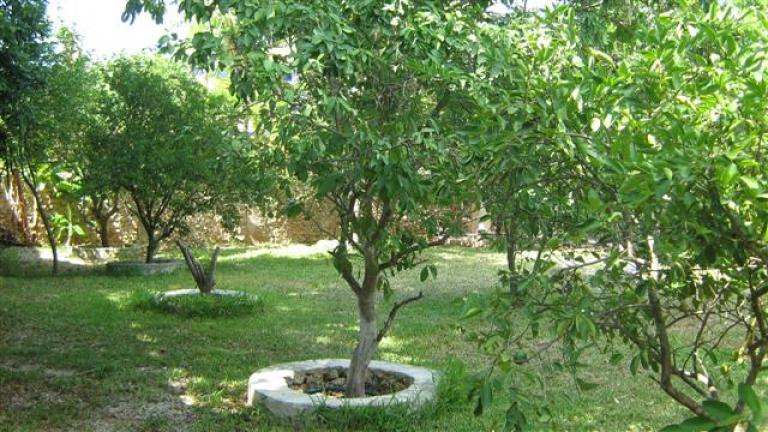 Casa amueblada con piscina de 3 recamaras en renta en Cholul - 14