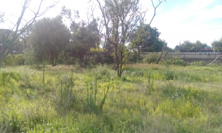 VENTA DE TERRENO EN SAN JUAN DEL RIO QUERETARO - 3