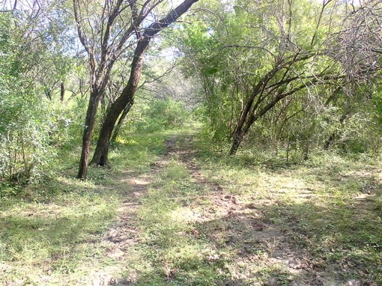 »Terreno de 16.30 has. con agua de corriente de arroyo - 3