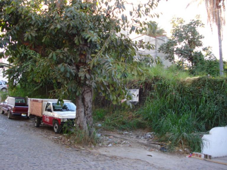 TERRENO USO MIXTO A 20 MTS DEL LIBRAMIENTO - 3