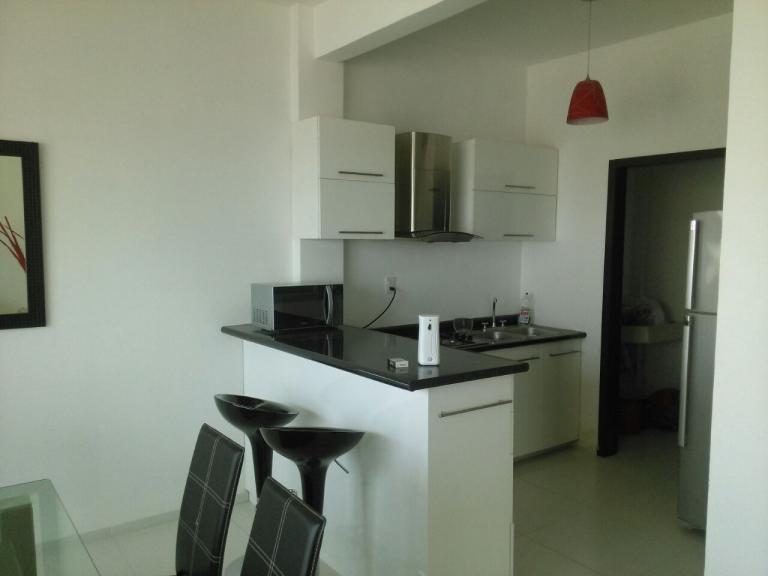 Magnifico departamento amueblado en renta - 3