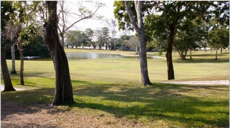 Residencia de una planta en club de golf - 7