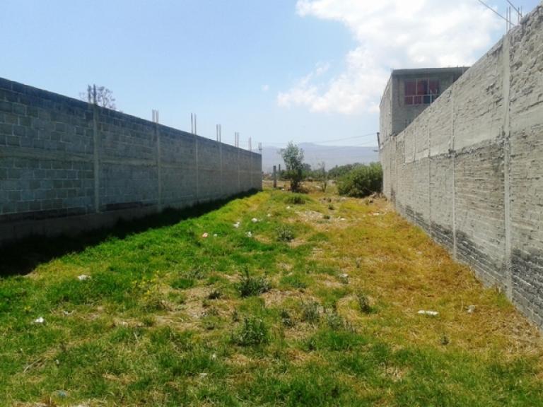 Terreno a 12 calles del Municipio en facilidades - 5