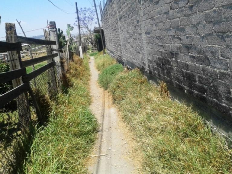 Terreno a 12 calles del Municipio en facilidades - 9