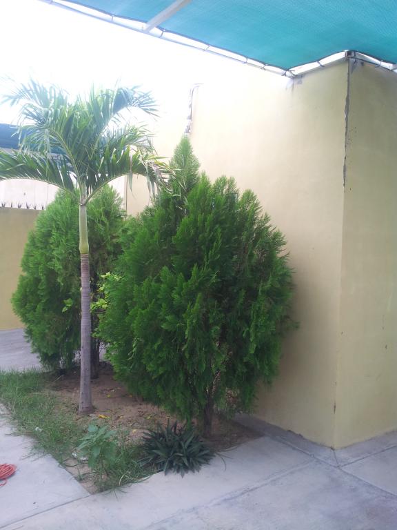 Casa Amueblada Fracc Virreyes - 7