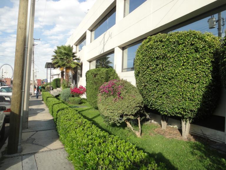 Edificio en Las Ánimas (Excelente para Inversionistas) - 3