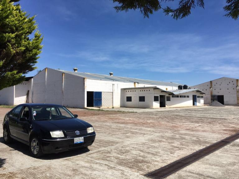 BODEGA EN RENTA EN ZACAPOAXTLA PUEBLA - 5