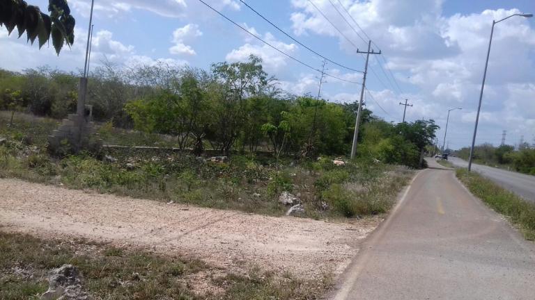 Remato 72 Hectareas de terreno en venta Tahdzibichen - 1