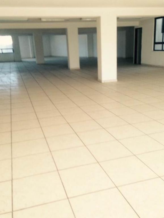 EDIFICO EN RENTA PARA OFICINAS — foto 8