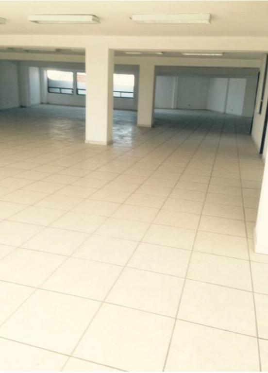 EDIFICO EN RENTA PARA OFICINAS — foto 10