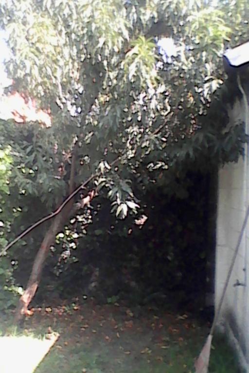 Casa Sola de una Planta: 3 recamaras. U. ISSSTE. 139m2 - 4