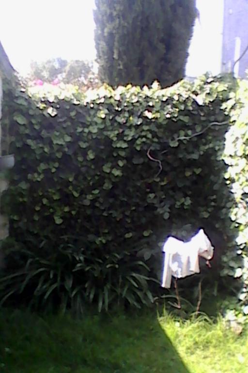 Casa Sola de una Planta: 3 recamaras. U. ISSSTE. 139m2 - 5