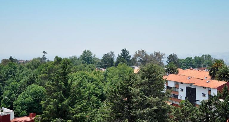 VENTA DE DEPARTAMENTO EN PUEBLO DE TETELPAN, ALVARO OBREGON — foto 2