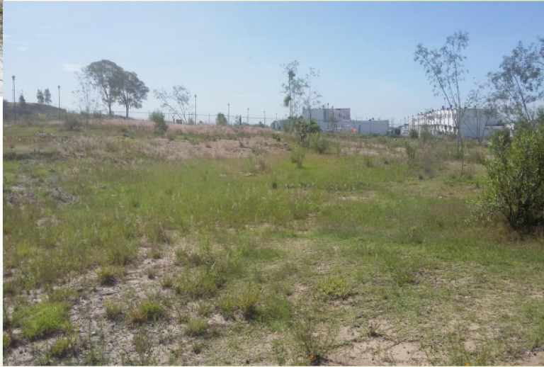 23. TERRENO EX HACIENDA CHAPULCO - 7