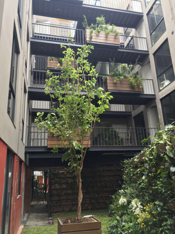 Departamento en Venta en Insurgentes Mixcoac, Benito Juarez — foto 2