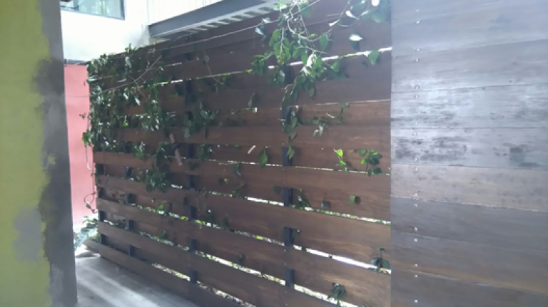 Departamento en Venta en Insurgentes Mixcoac, Benito Juarez — foto 7