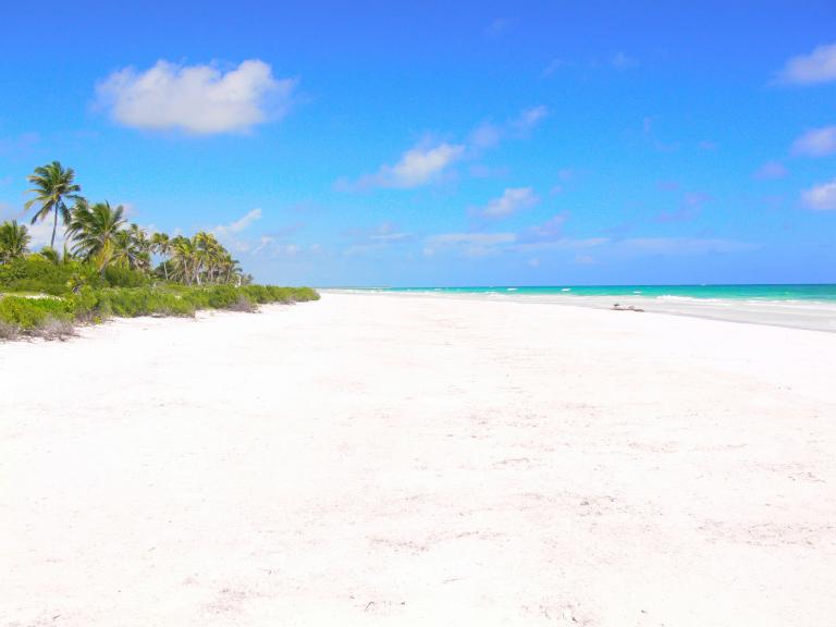 Excelente terreno frente al mar Caribe. - 1