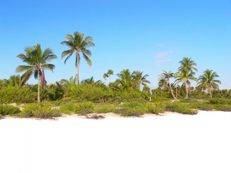 Excelente terreno frente al mar Caribe. - 3