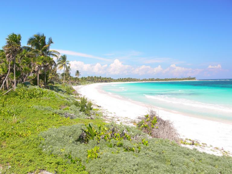 Excelente terreno frente al mar Caribe. - 2