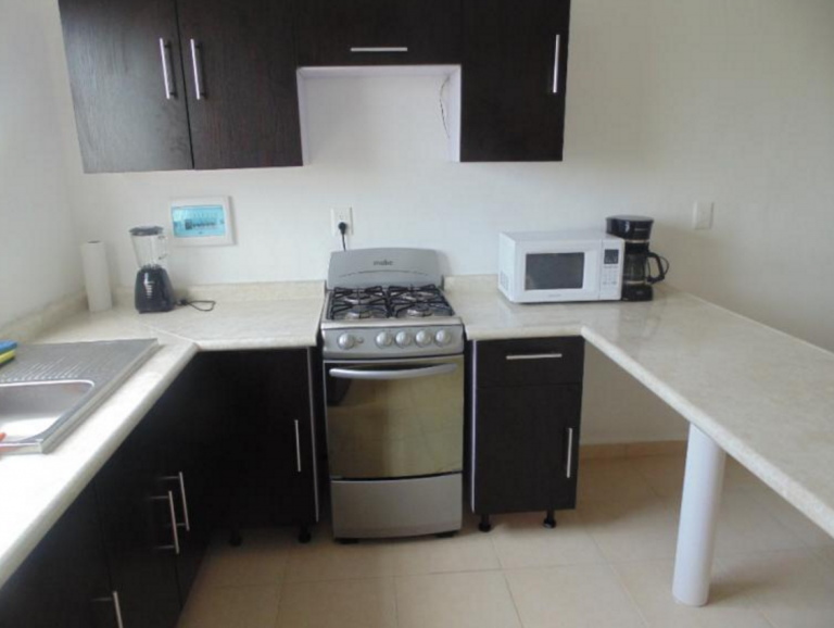 DEPARTAMENTO EN RENTA SELVANOVA — foto 5