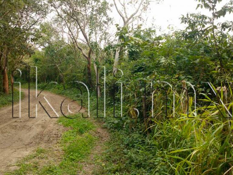 Terreno en Venta en La Laja de Coloman - 5