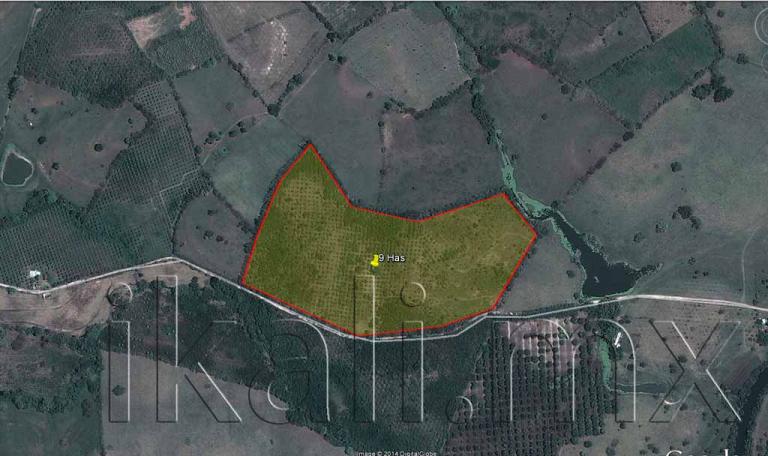 Terreno en Venta en La Laja de Coloman - 10