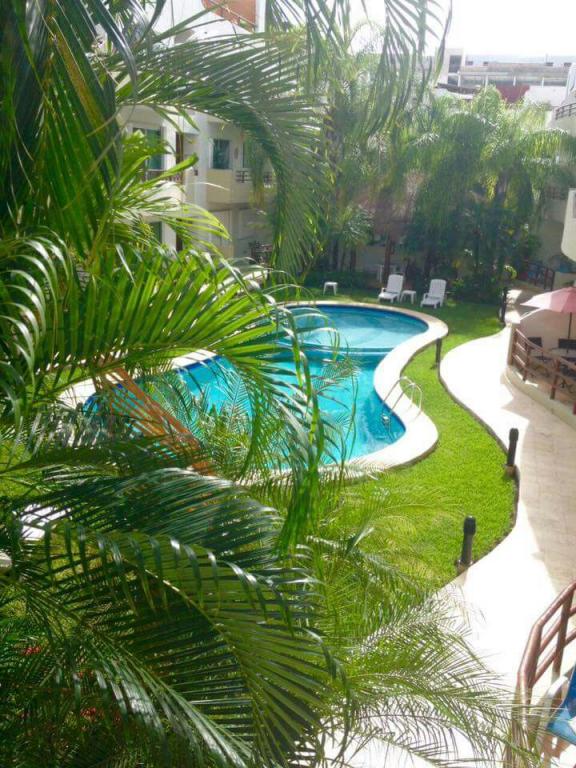 DEPARTAMENTO EN RENTA CENTRO PLAYA DEL CARMEN — foto 9
