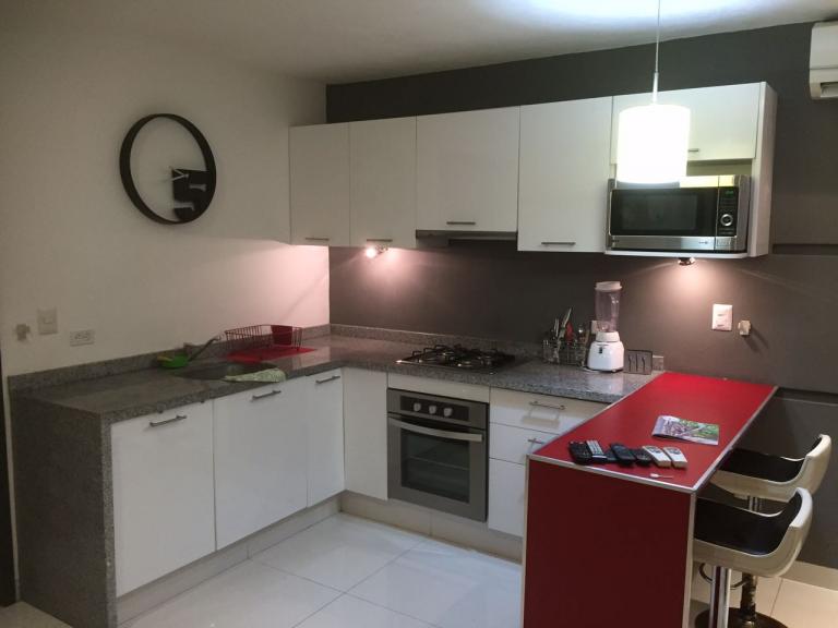 DEPARTAMENTO EN RENTA PLAYACAR — foto 2