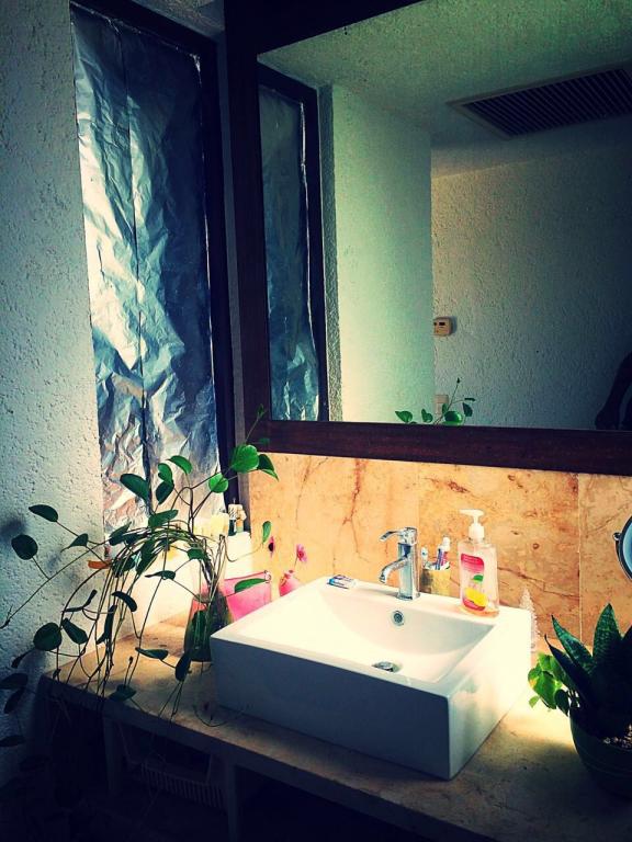 ESTUDIO EN RENTA SIAN KAAN PLAYACAR FASE II — foto 3