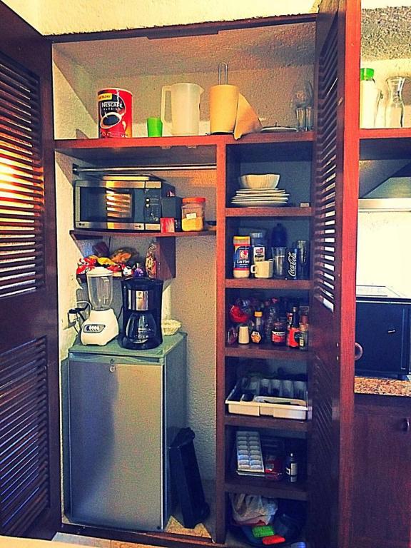 ESTUDIO EN RENTA SIAN KAAN PLAYACAR FASE II — foto 5