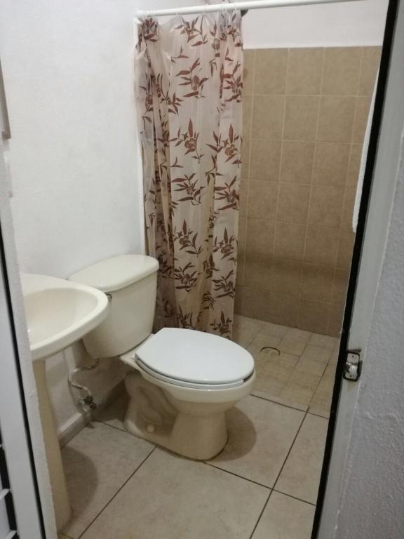 ESTUDIO EN RENTA COLONIA COLOSIO — foto 2