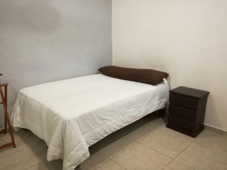 ESTUDIO EN RENTA COLONIA COLOSIO — foto 6