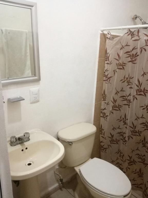 ESTUDIO EN RENTA COLONIA COLOSIO — foto 7