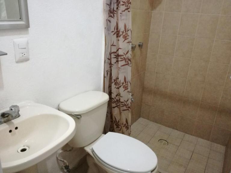 ESTUDIO EN RENTA COLONIA COLOSIO — foto 9