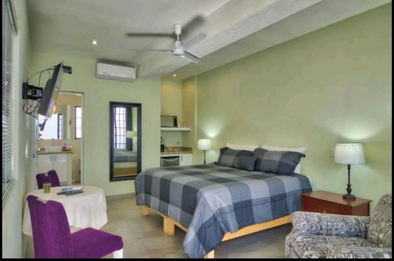 ESTUDIO RENTA VACACIONAL CENTRO DE PLAYA DEL CARMEN — foto 3