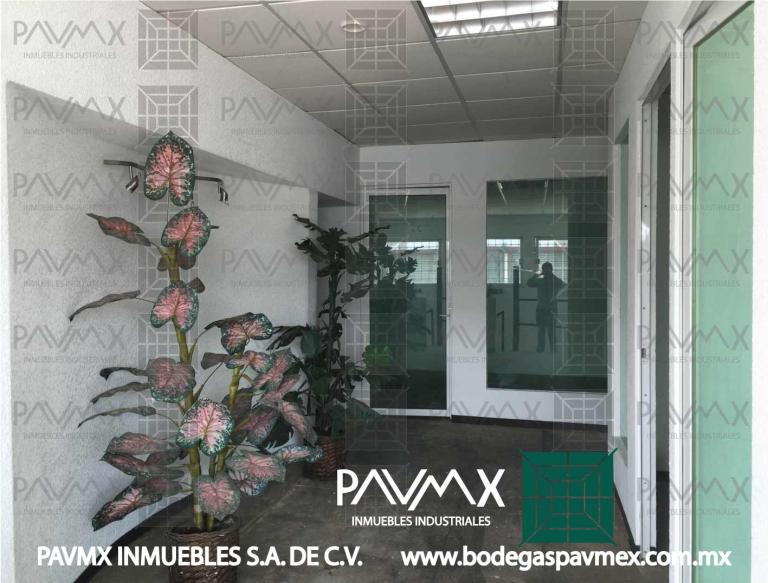 OFICINAS EN RENTA VIA MORELOS SAN PEDRO XALOSTOC 315m2 - 7