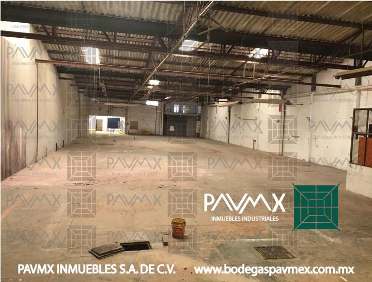 BODEGAS EN RENTA SANTA CLARA1600m2 - 10