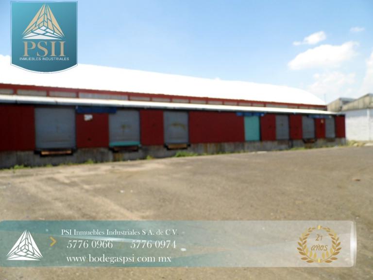 BODEGA EN RENTA IRAPUATO 30,000 M2 - 4