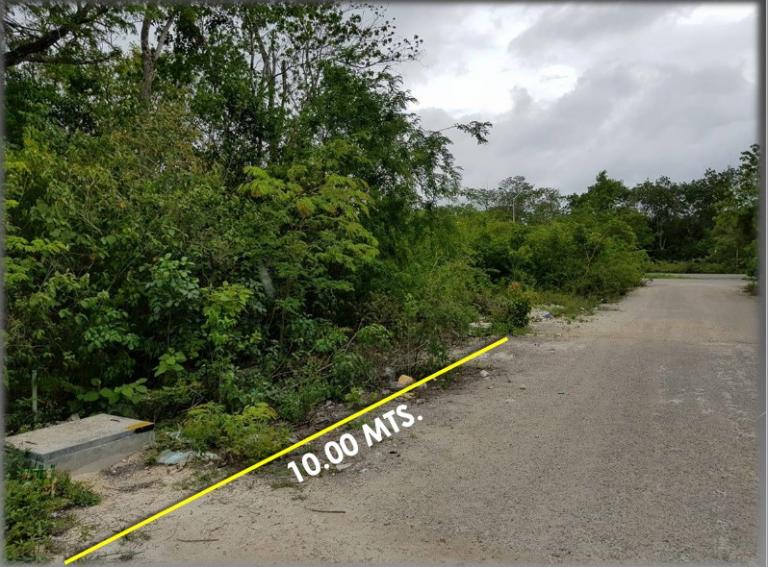 TERRENO EN VENTA TULUM — foto 2