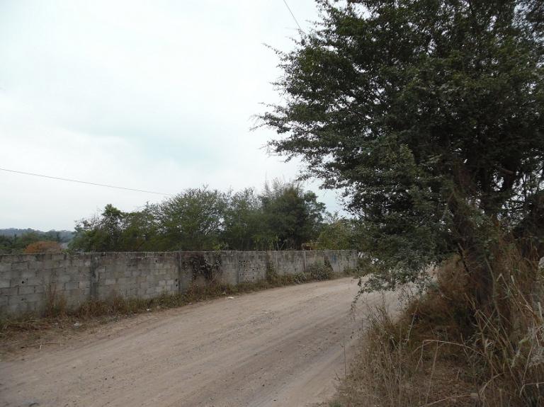 TERRENO EN VENTA 10,000 MTS TITULO EN PUERTO VALLARTA - 2